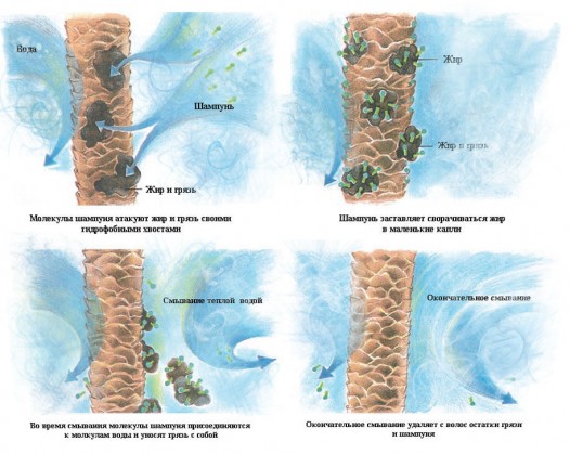 Как правильно использовать шампунь